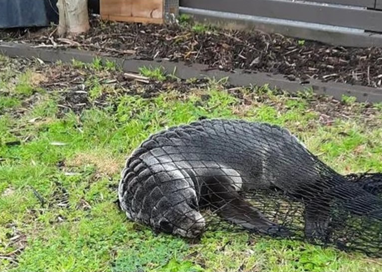 ���������ʰ��н�����������լ ���ܼ�è�й�����Сʱ