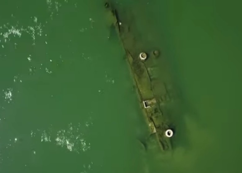 多瑙河水位跌至近百年新低 大量二战时期沉没的德国军舰露出水面