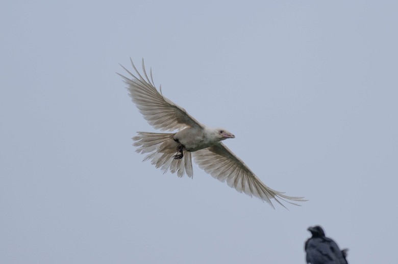 ����ѻ�����ձ�������