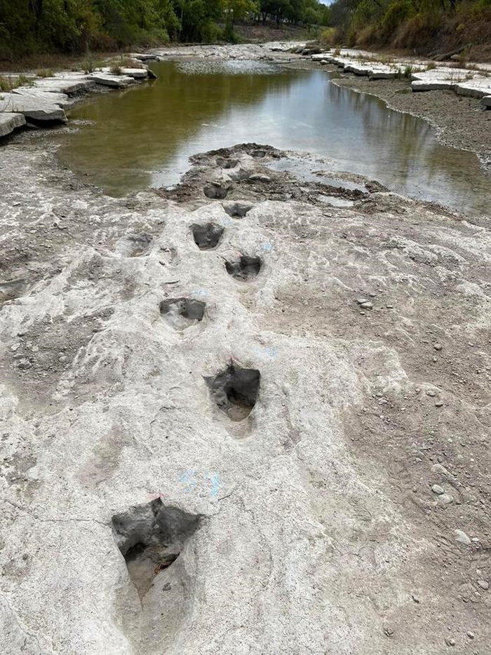 美国得克萨斯州恐龙谷州立公园河流干涸 1.13亿年前恐龙足迹化石重见天日