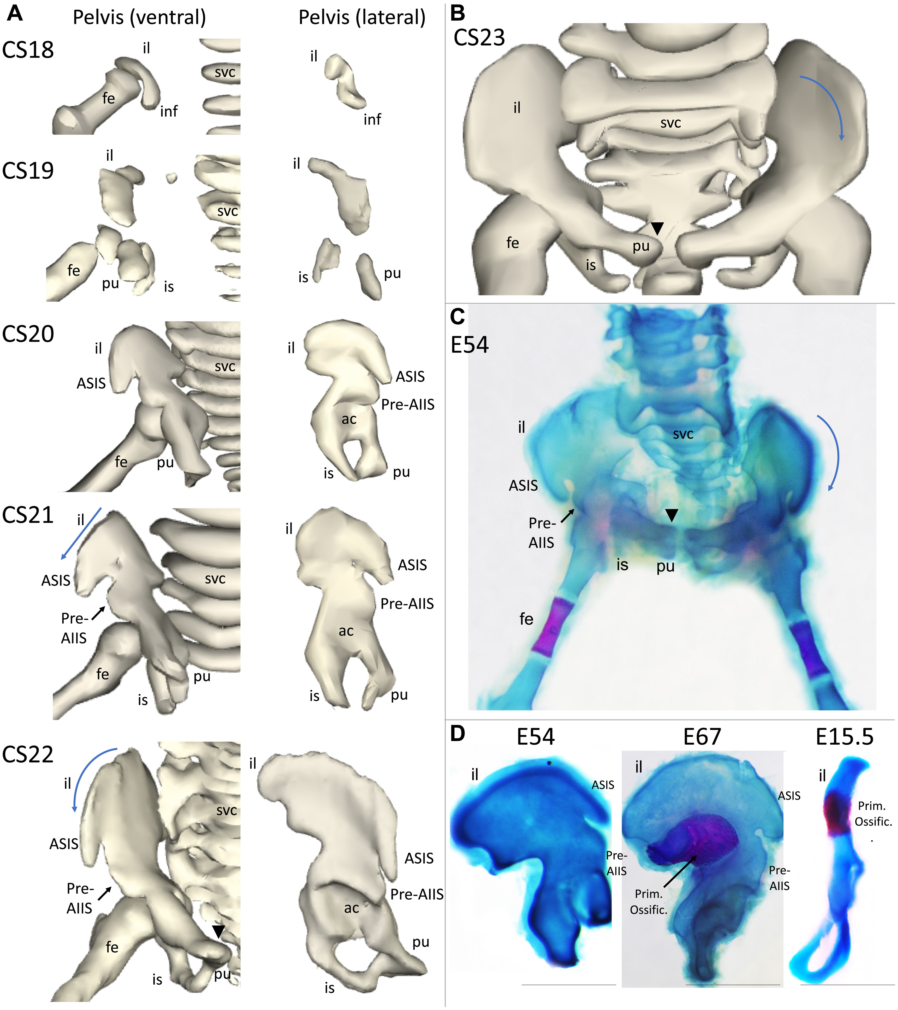 ����ѧ��չ������Ȼѡ������������̬�ķ���Ӱ��