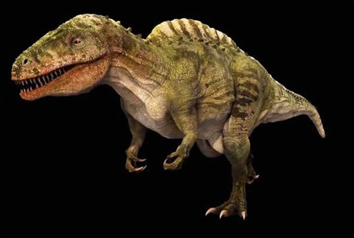 美国得克萨斯州大旱 恐龙谷州立公园1.13亿年前恐龙足迹化石重见天日