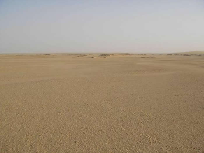 乍得沙赫人在700万年前用双足行走