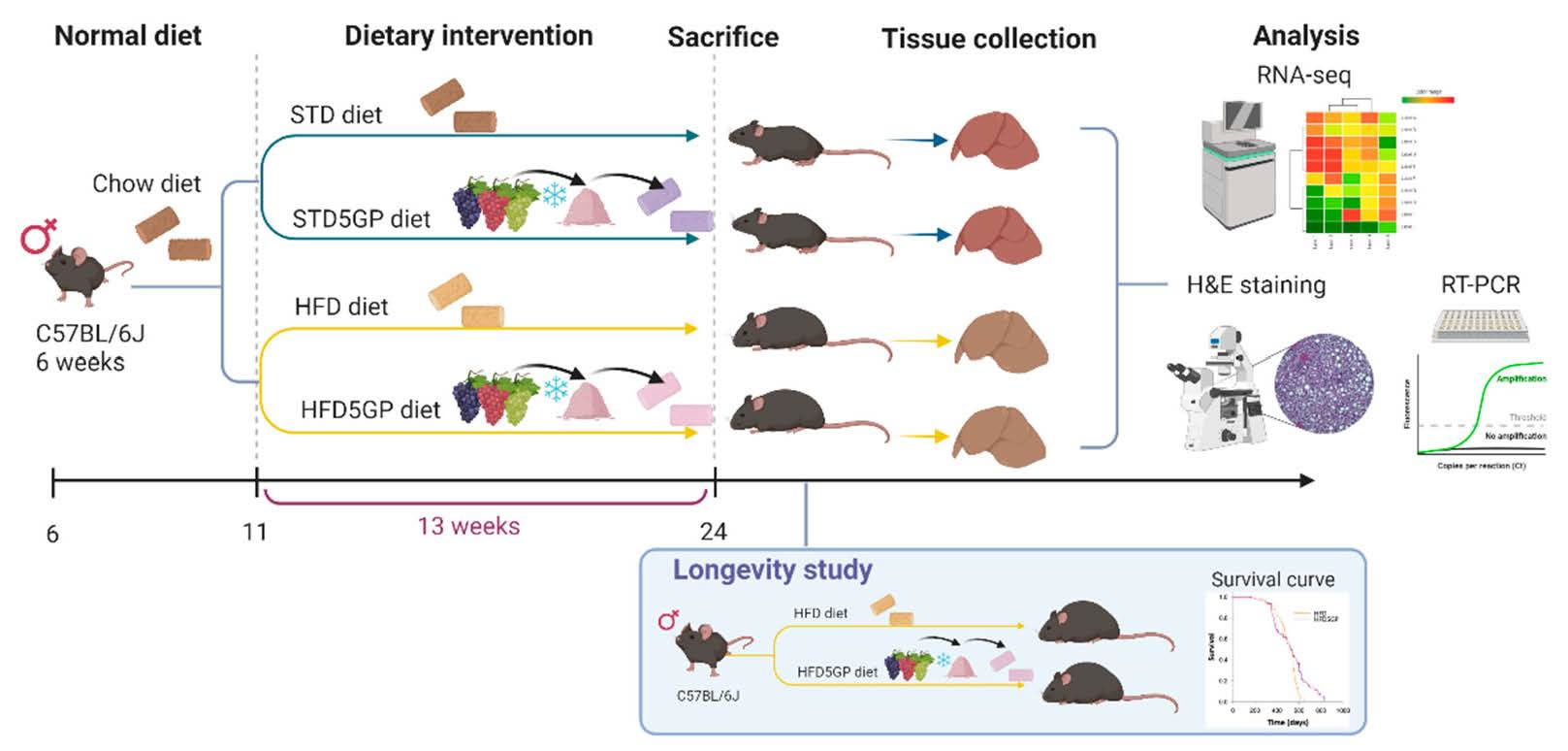 �о���ʾÿ�첻�����������ѾͿ��Լ���֬���εķ������ʲ��ӳ�����
