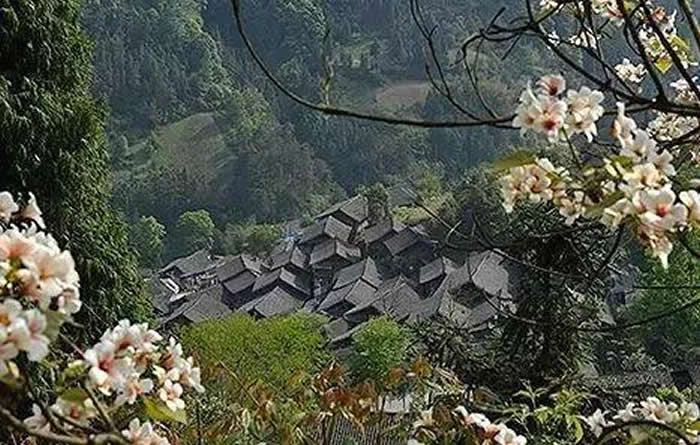 资料图:2018年国际地科联通过以中国贵州剑河县八郎村乌溜—曾家岩剖面作为寒武系苗岭统乌溜阶 “金钉子”。该“金钉子”研究由贵州大学、南京古生物所等共同完成。