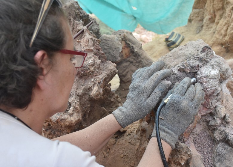 �������в�����ŷ����������ʯ ��1.6����ǰ��������