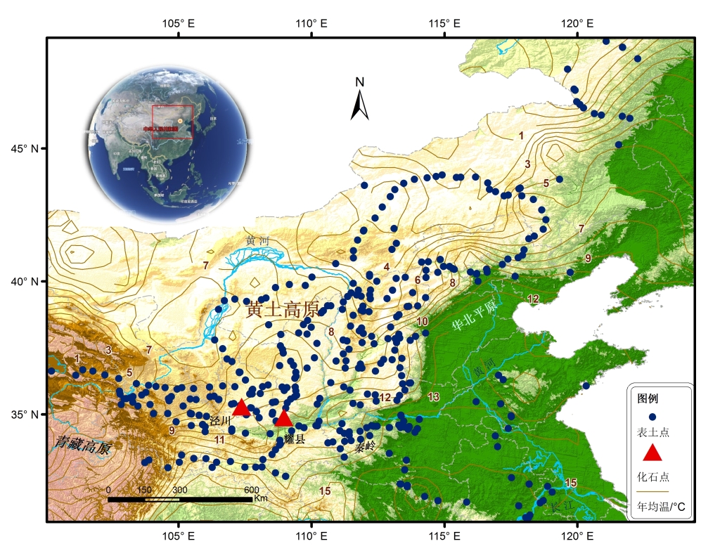中国北方表土蜗牛组合样品采集点和黄土蜗牛化石样品点分布