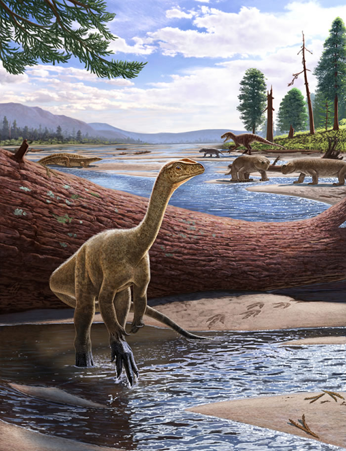 非洲最古老的恐龙Mbiresaurus raathi揭示恐龙分布的早期抑制