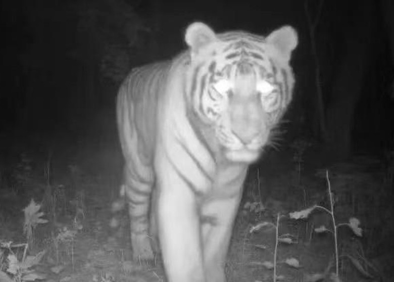 ���������⵽��������û ������ʡ˫Ѽɽ���ĺ���ͨ���ֹ������ɽ