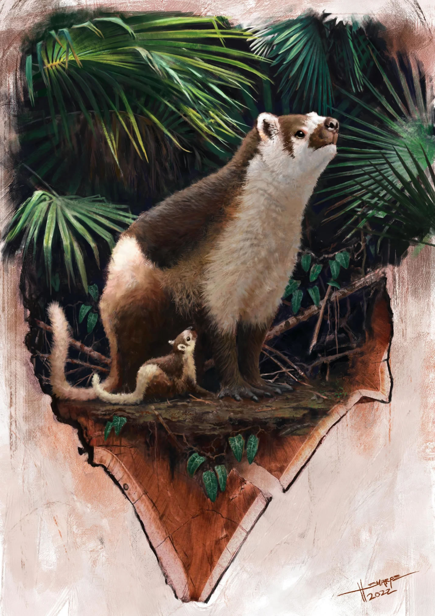 早期哺乳动物生长速度更快 而寿命则相对更短