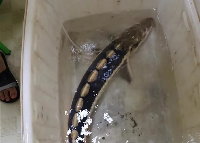 ������Ұ����� ������ͻȻ��������ʡ�ŷ���