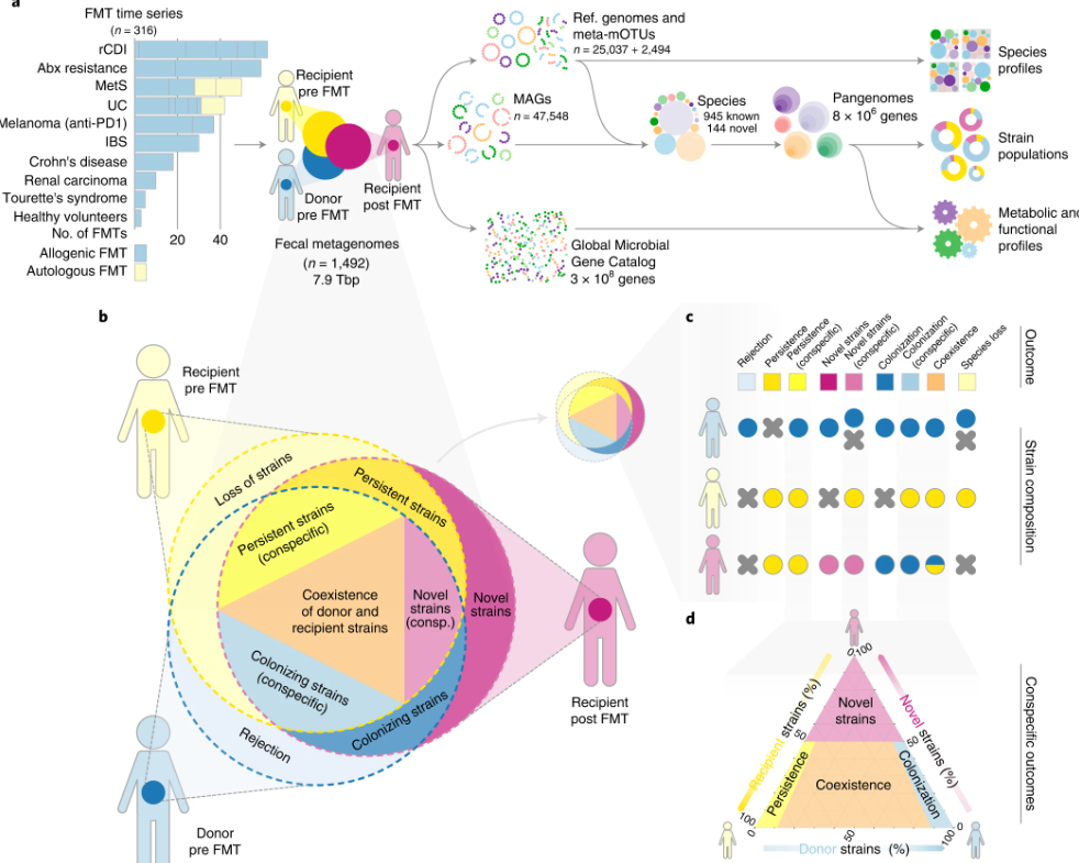 当肠道微生物群落“发生冲突”时会发生什么:300多个人类粪菌移植数据的奇特发现