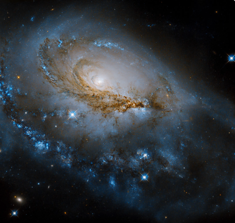 哈勃太空望远镜拍摄鹿豹座螺旋星系NGC 1961的新图像