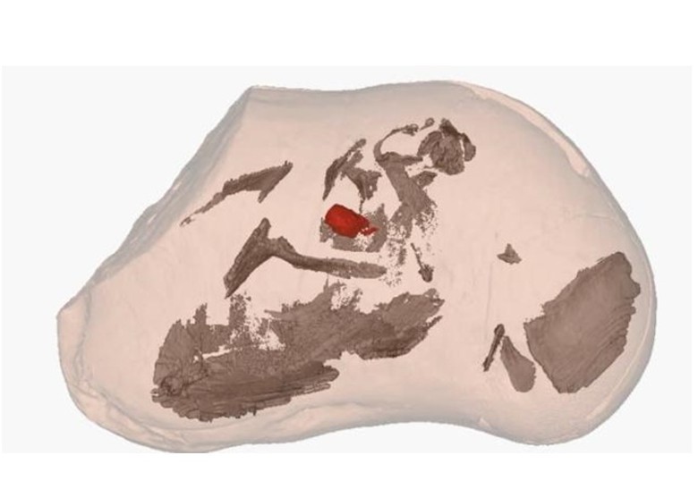 ĴǷΪֹϵ໯ʯ 3.81ǰĶƤ