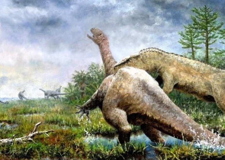 德国巴登-符腾堡州蒂宾根大学博物馆馆藏百年的化石为新物种恐龙