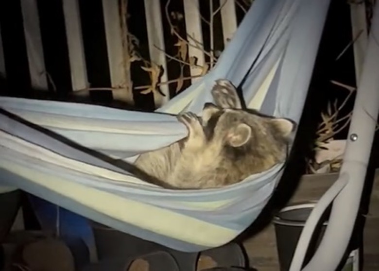 ������Ϧ�������ݷѳ����������� ��ռ��������