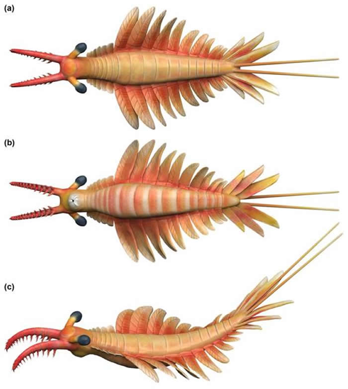 νȺʯ걾оʾϺ֡ñɽϺ