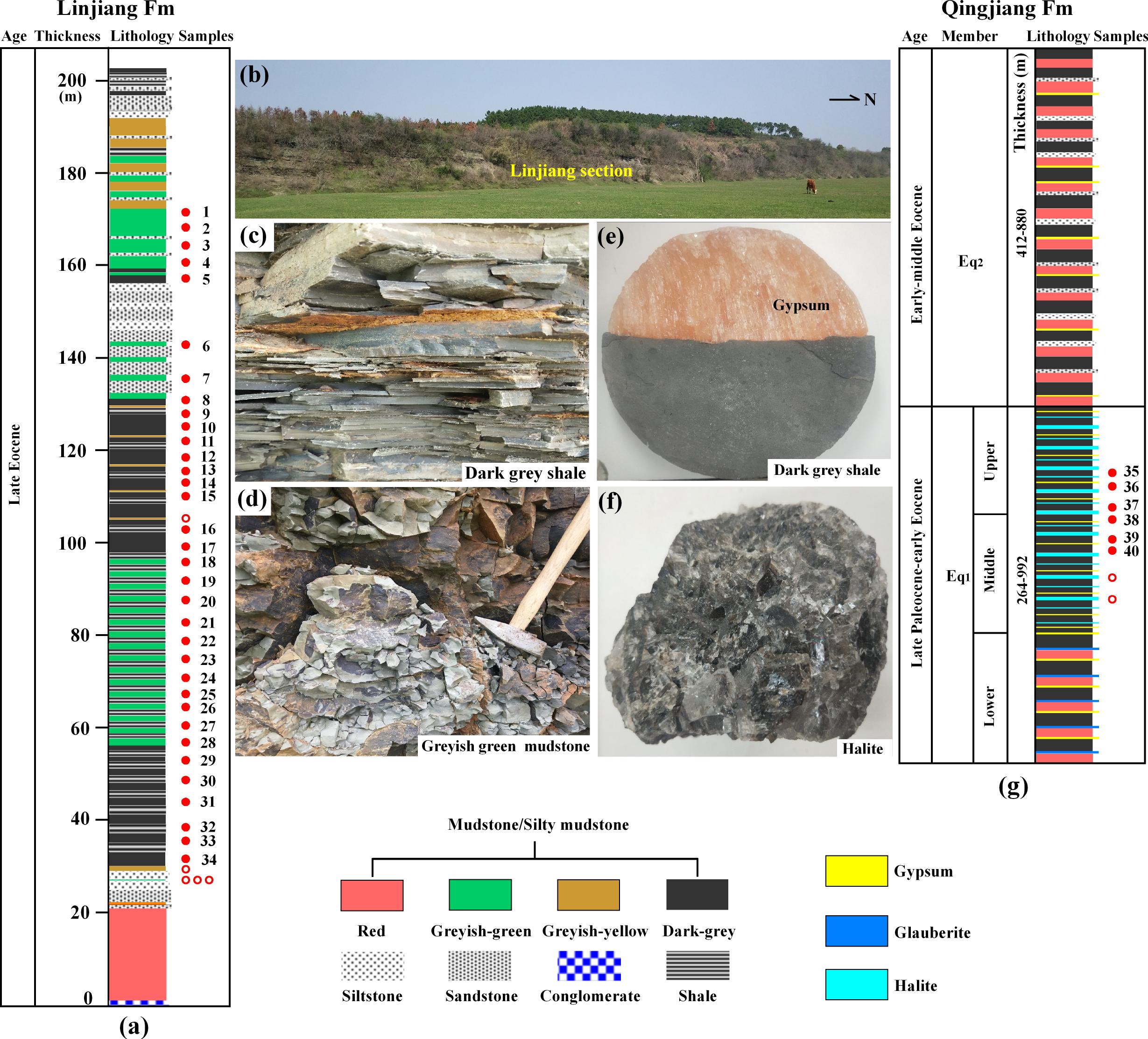 �߷ۻ�ʯ֤�ݽ�ʾ���ϴӻ�Į��ɭ�ֵ��ݱ����