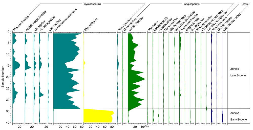 �߷ۻ�ʯ֤�ݽ�ʾ���ϴӻ�Į��ɭ�ֵ��ݱ����