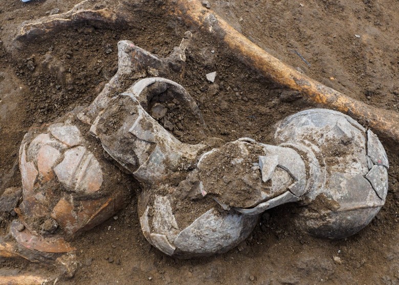 以色列3500年历史陶器碎片中发现鸦片残留物