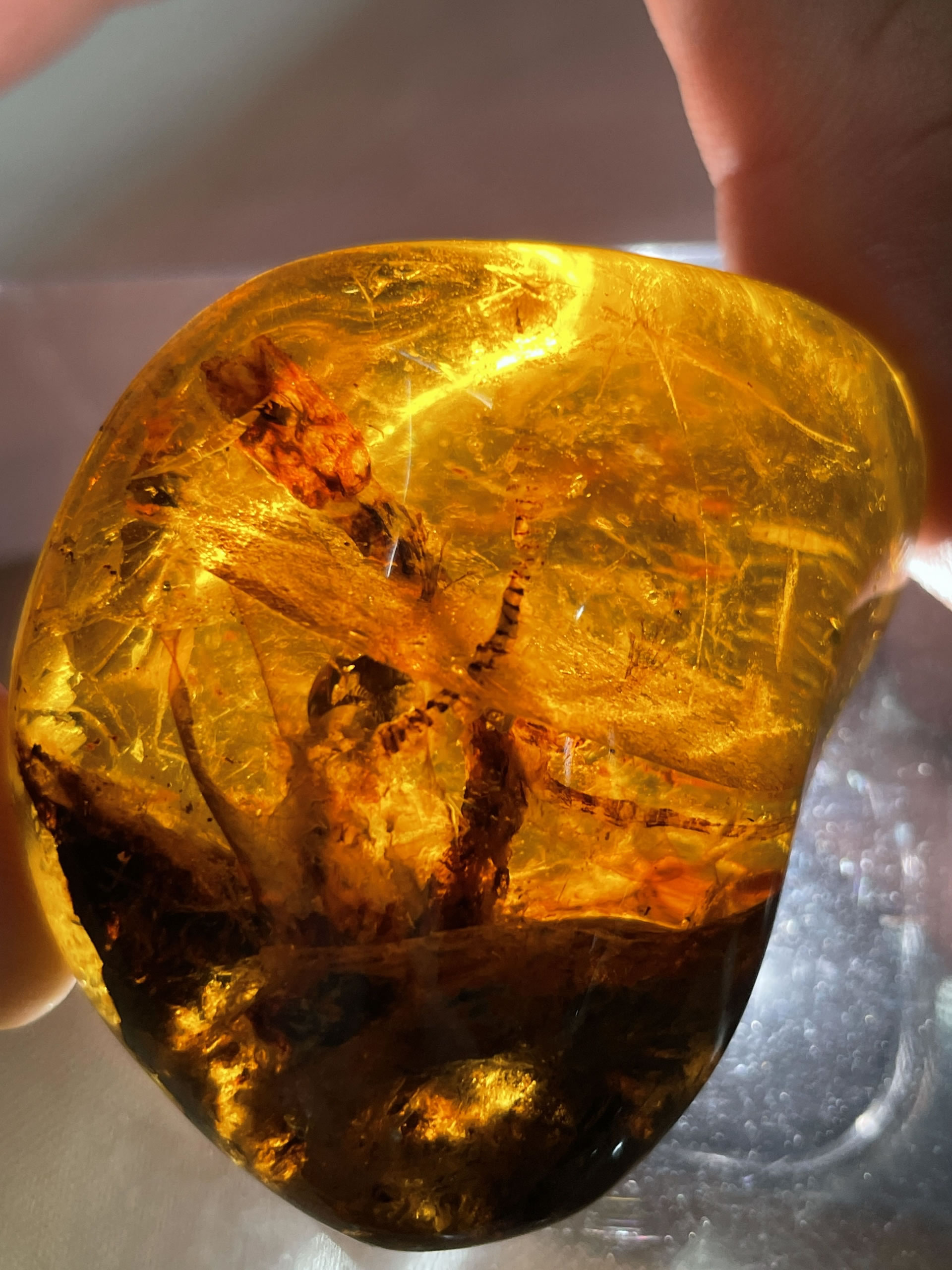 ���˸��ƿ��������껹�ܸ�������ʲô��