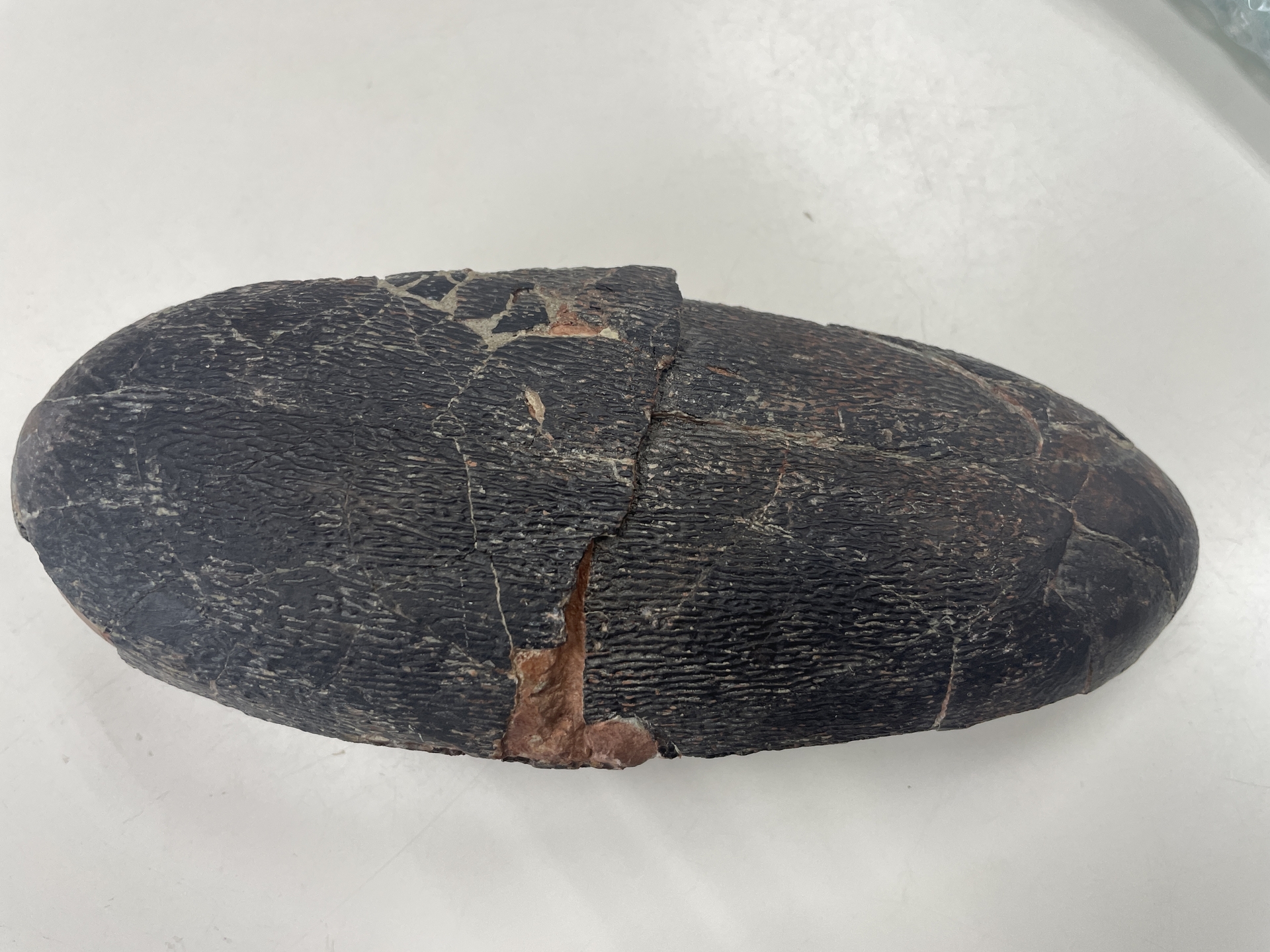 ���˸��ƿ��������껹�ܸ�������ʲô��