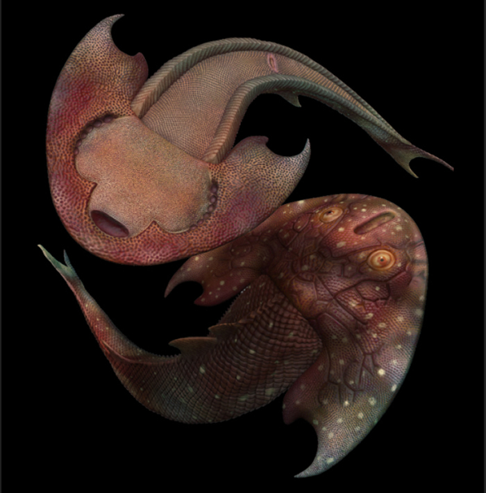 ӢNature־4.36ǰ鶯Ϊ׵ɶԸ֫Դṩؼʯ֤