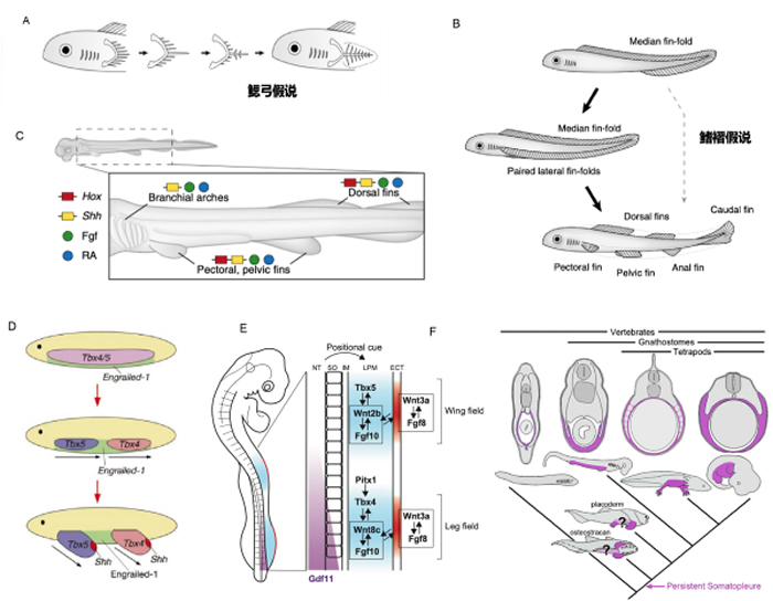 ӢNature־4.36ǰ鶯Ϊ׵ɶԸ֫Դṩؼʯ֤