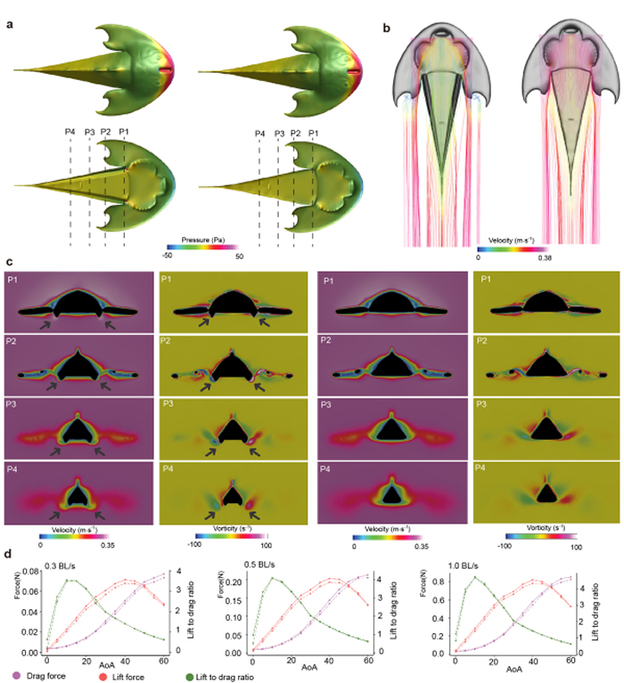 ӢNature־4.36ǰ鶯Ϊ׵ɶԸ֫Դṩؼʯ֤