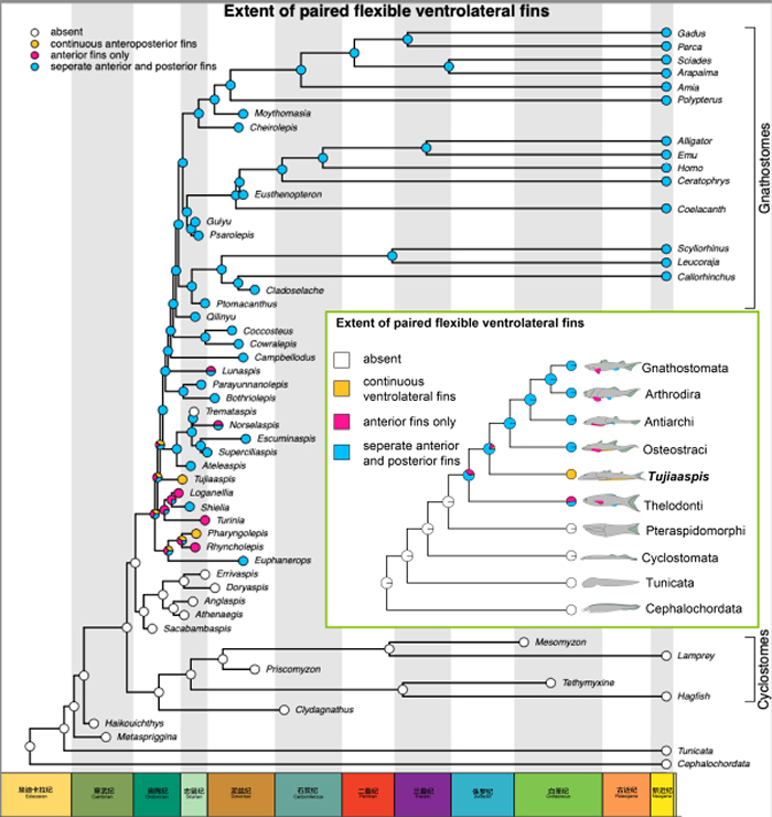 ӢNature־4.36ǰ鶯Ϊ׵ɶԸ֫Դṩؼʯ֤