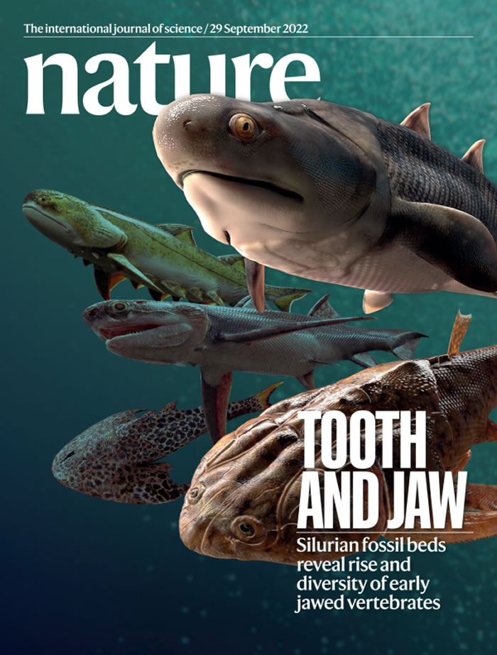 齿与颌：志留纪鱼类化石揭示有颌脊椎动物崛起与最初辐射分化