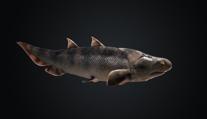 鱼类的黎明——志留纪早期特异埋藏揭秘“从鱼到人”演化关键跃升