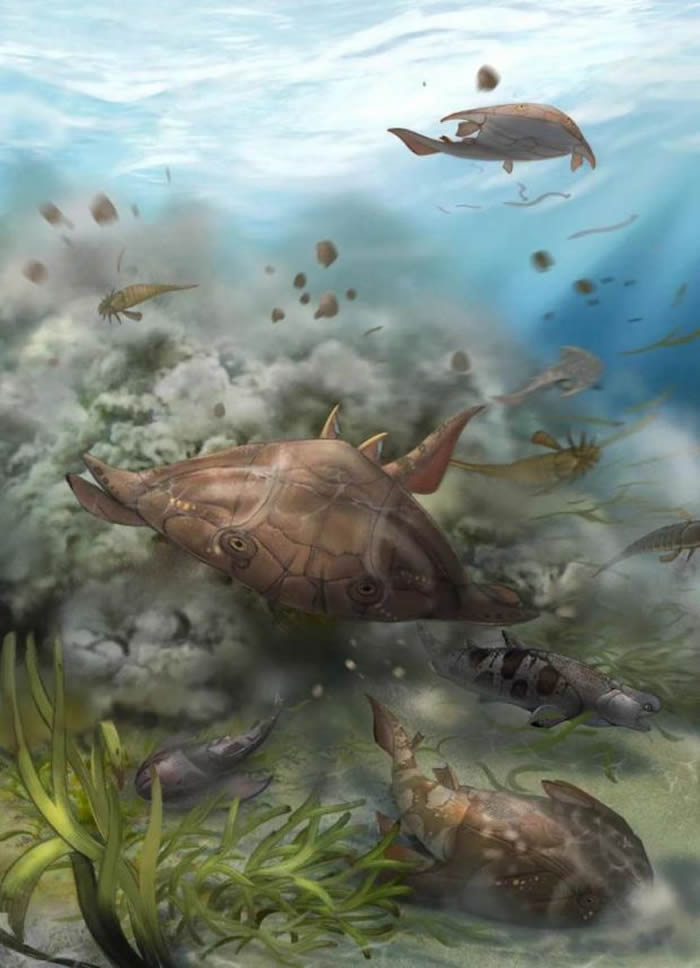 改写有颌脊椎动物早期演化历史 “从鱼到人”关键证据被发现