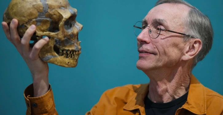 现代人与已灭绝古人类有何差异