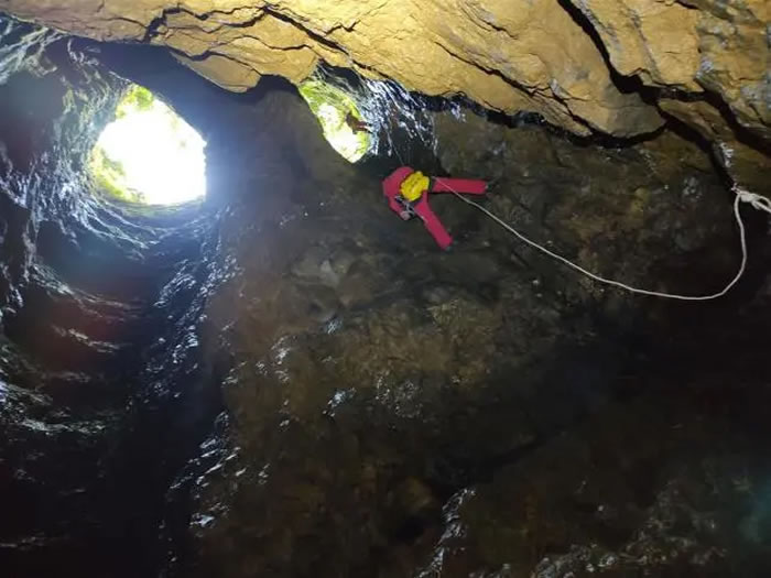 湖南湘西龙山县洞穴发现大熊猫骨骼化石