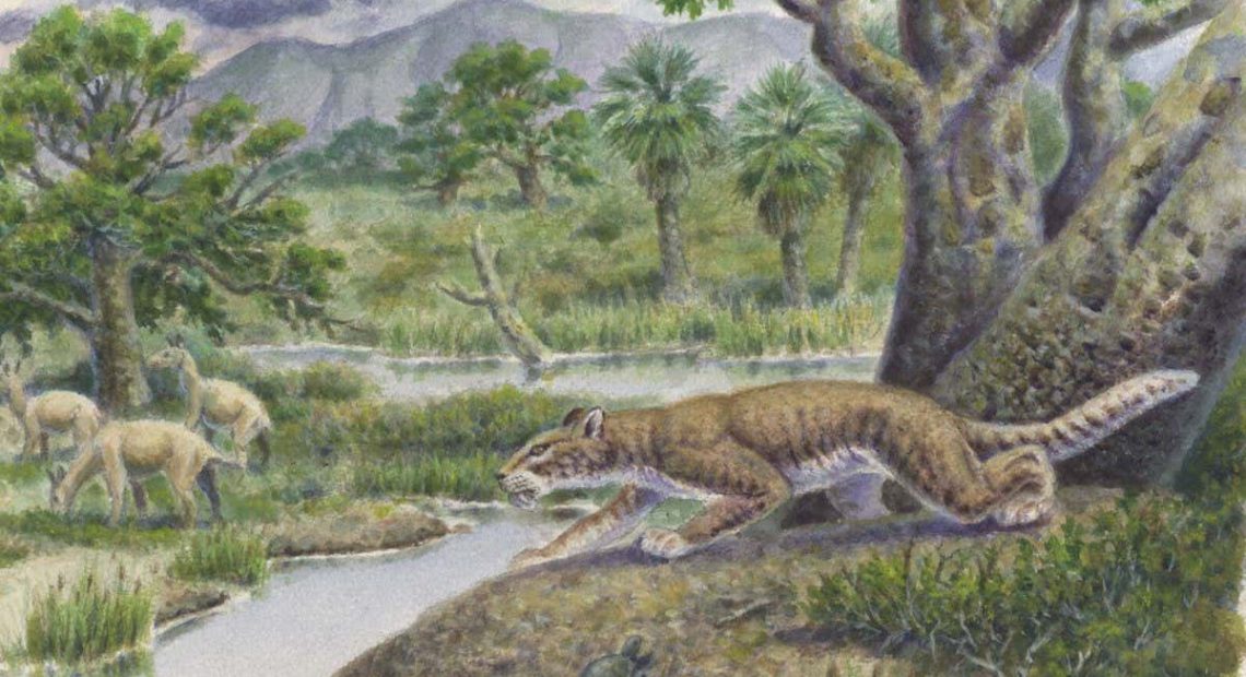 剑齿食肉动物种群在远比想象中更早的时候进化成各种不同的物种