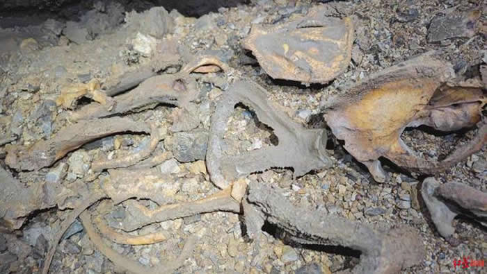 ɽѨִèʯ רңֻ ʧ׹