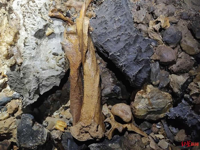 ɽѨִèʯ רңֻ ʧ׹