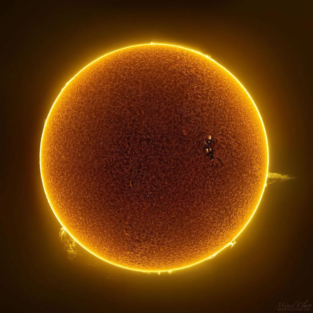 Miguel Claro��׽��һ��̫����������������Ƶ