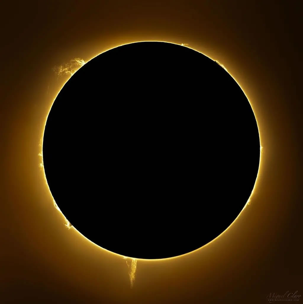 Miguel Claro��׽��һ��̫����������������Ƶ