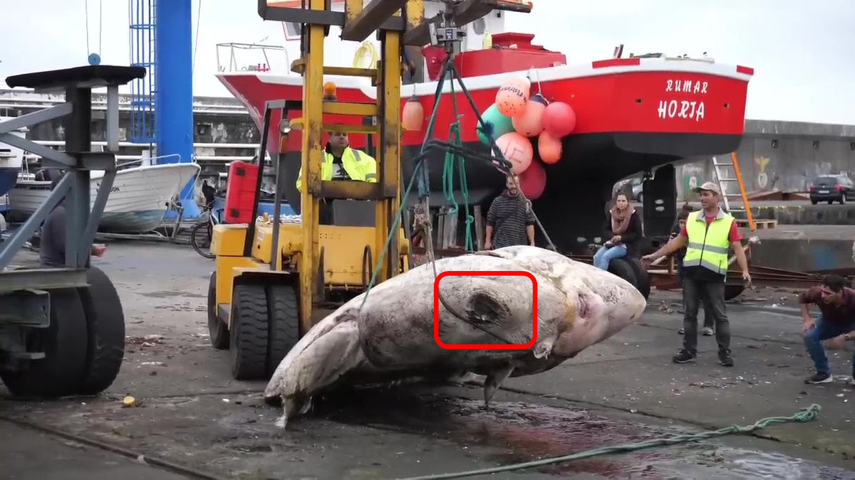 ̫ƽ�����ٶ�Ⱥ�����������������ص�Ӳ���㣺һ���ش�2744ǧ�˵ķ�����