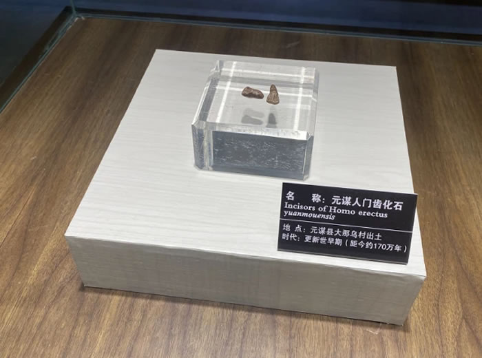 �߽�Ԫı�� ׷Ѱ��������Դ�����㼣