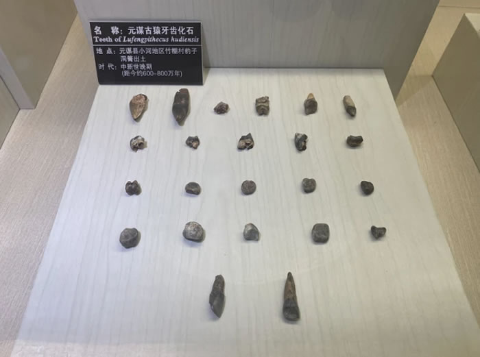 �߽�Ԫı�� ׷Ѱ��������Դ�����㼣