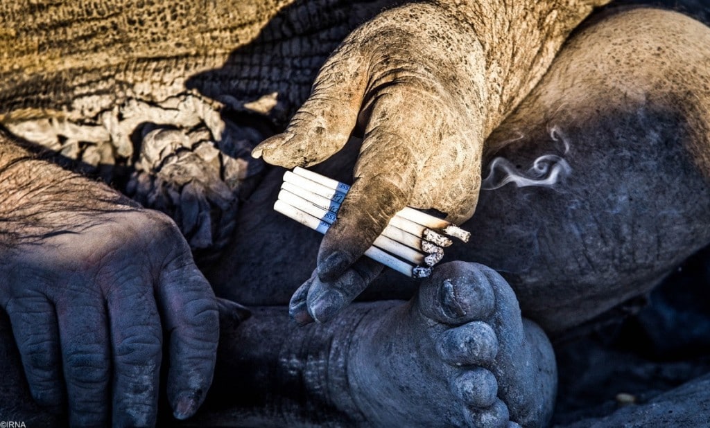 “全球最脏的人”洗澡后去世 伊朗94岁老翁哈吉Amou Haji超过67年没洗澡