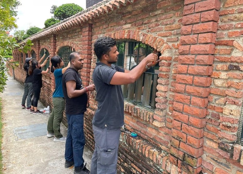 新加坡国家公园局助水獭搬迁 缓解野生动物与人类冲突