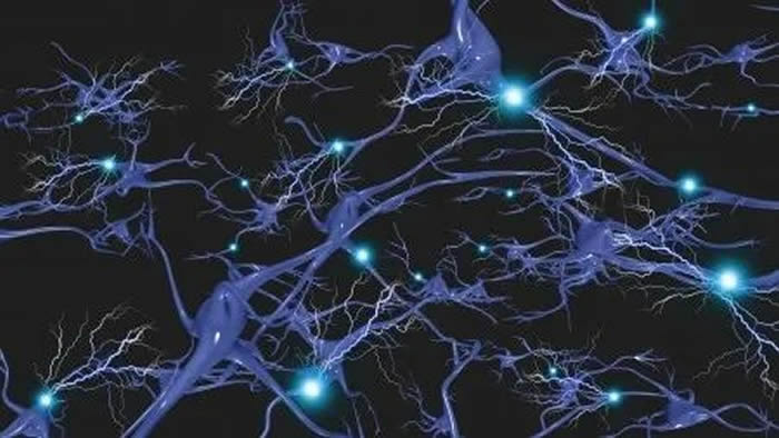 可调节血清素能神经元放电的新型小分子化合物被证明具有快速起效的抗抑郁作用
