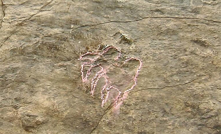 ɽ����ǿ����㼣��ʯȺ�з��ֺ��������㼣��ʯ