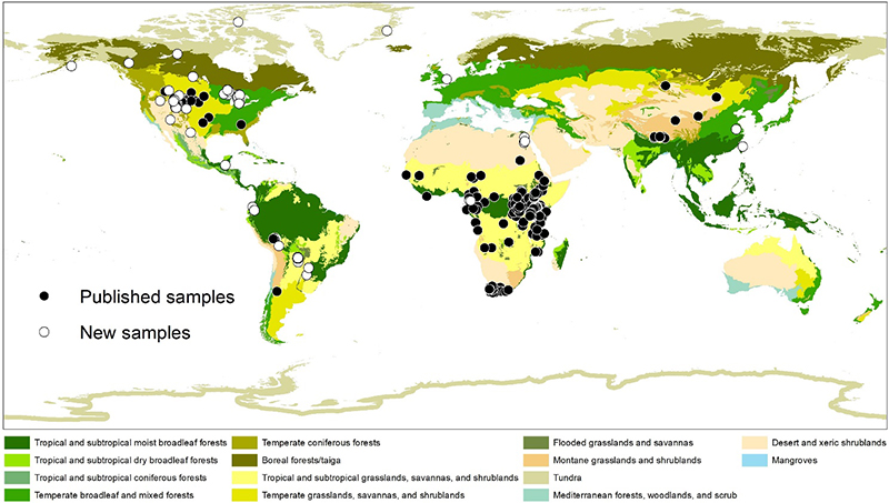 《生态与演化前沿》:现生偶蹄类动物同位素研究为重建古生态和古环境提供新思路