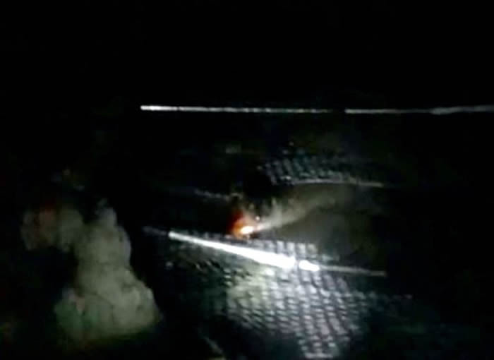 英国老翁养的大量锦鲤在池塘内被杀光 调阅监控发现凶手竟是......