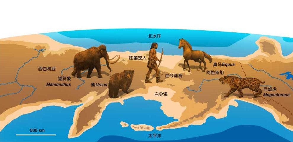 《科学通报》:新生代温室和冰室气候背景下动物区系的演变